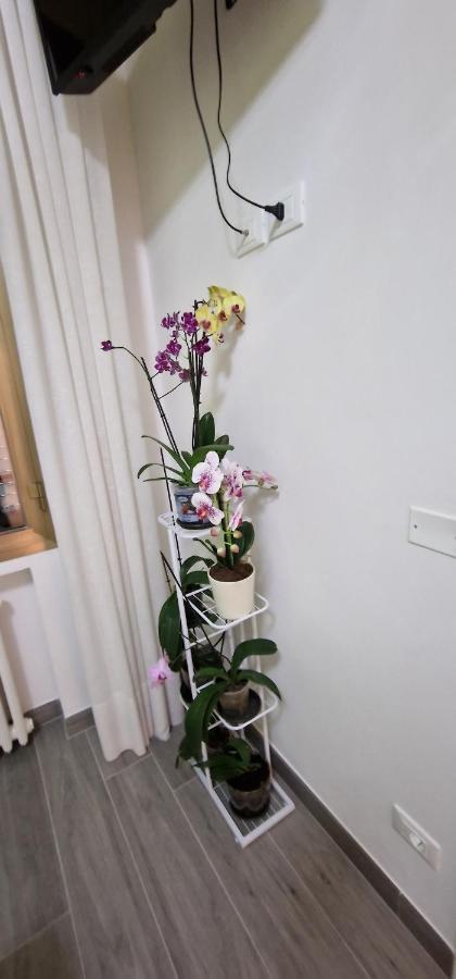 Orchidea Bed & Breakfast โบโลญญา ภายนอก รูปภาพ
